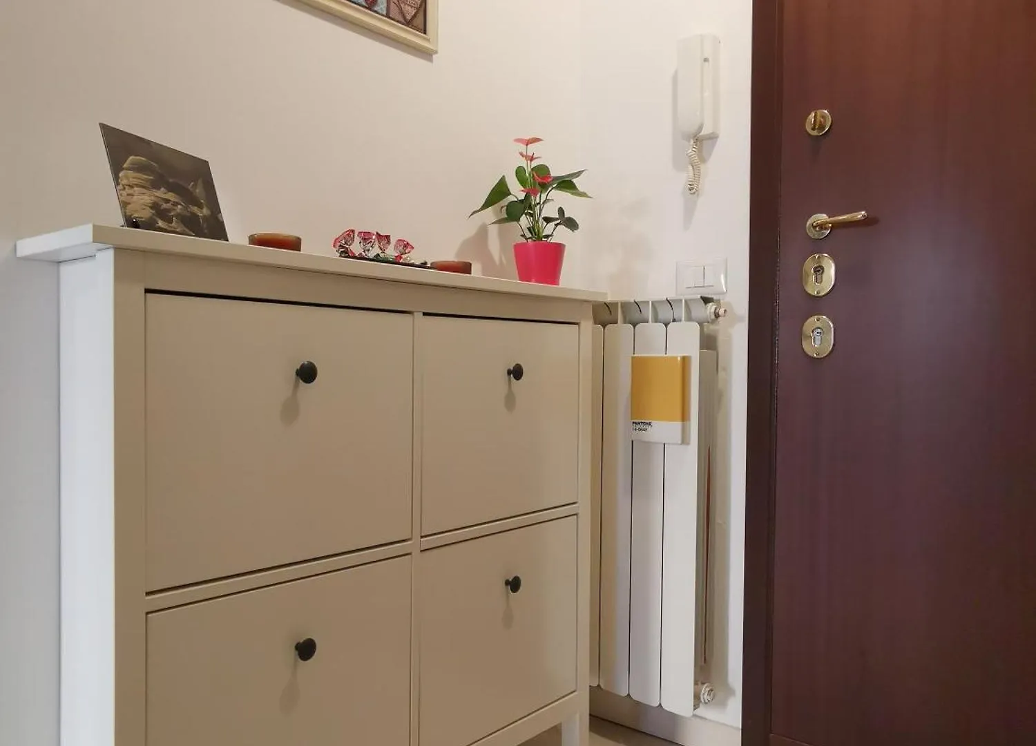 The Green Wall Apartment Lido di Ostia Italy